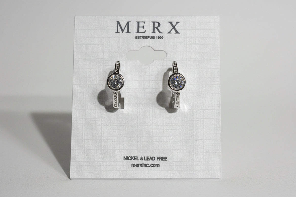Small Crystal Hoop Earring-one stone