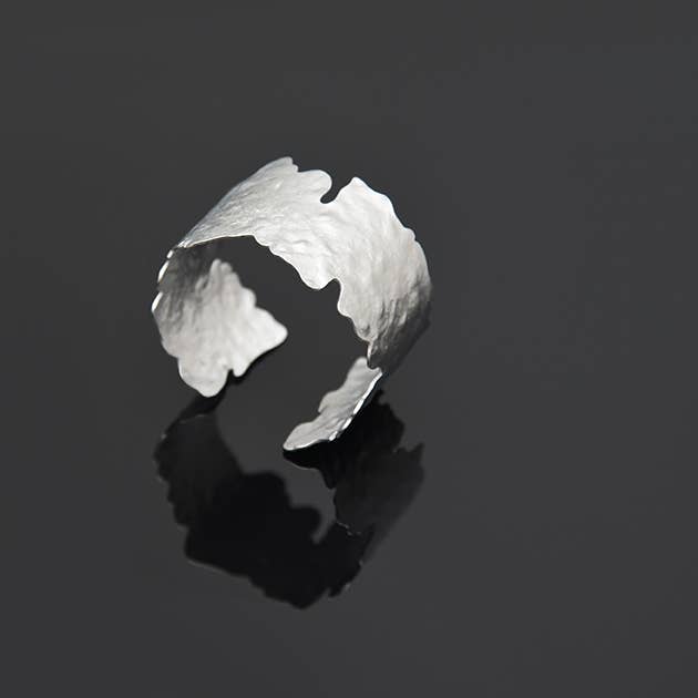 Pursuits - Nova Bangle