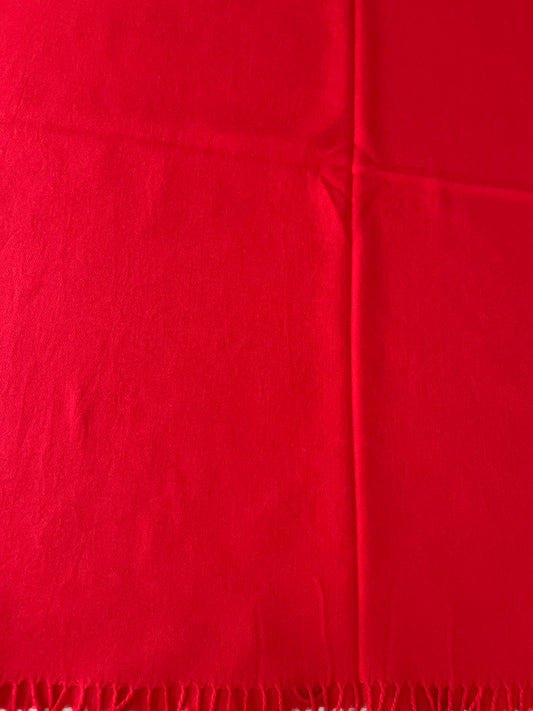 A close-up of a bright red scarf and fringed edge along the bottom.