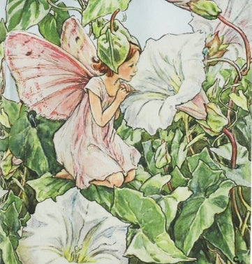 Flower Fairies - Bindweed Fairy Ultra Lined Softcover Journal