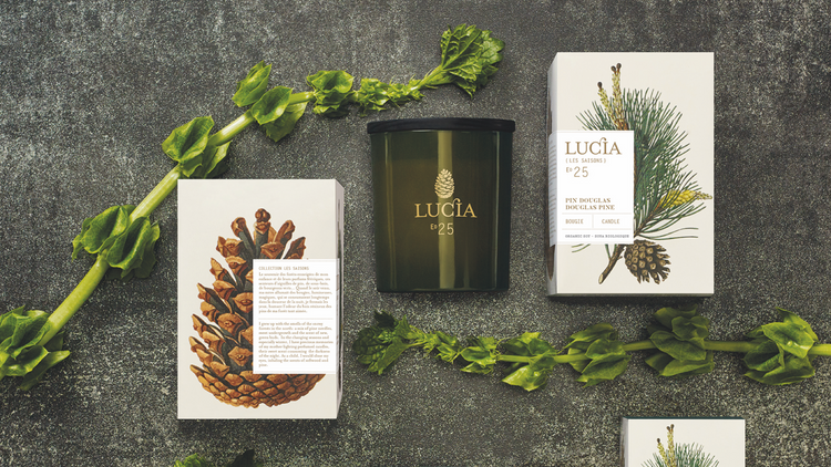 Lucia Les Saisons Douglas Pine soy candle and gift boxes with a pinecone and greenery on slate