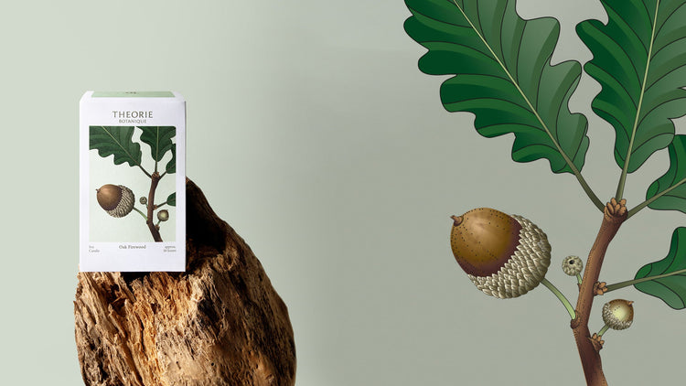 Pure Living Theorie Botanique box on driftwood with an illustrated oak branch and acorn