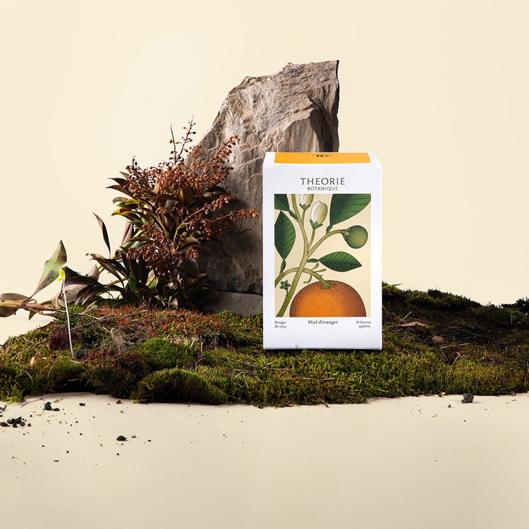 Theorie Botanique Honey Orange box on moss beside a stone