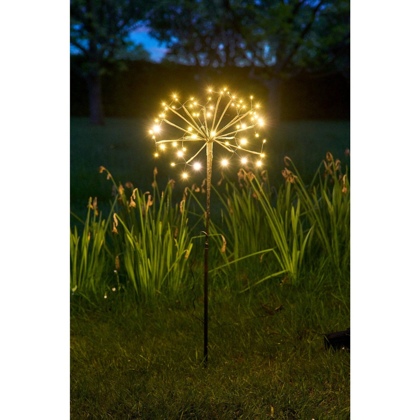 Lumina Of London Co - Solar Dandelion Light