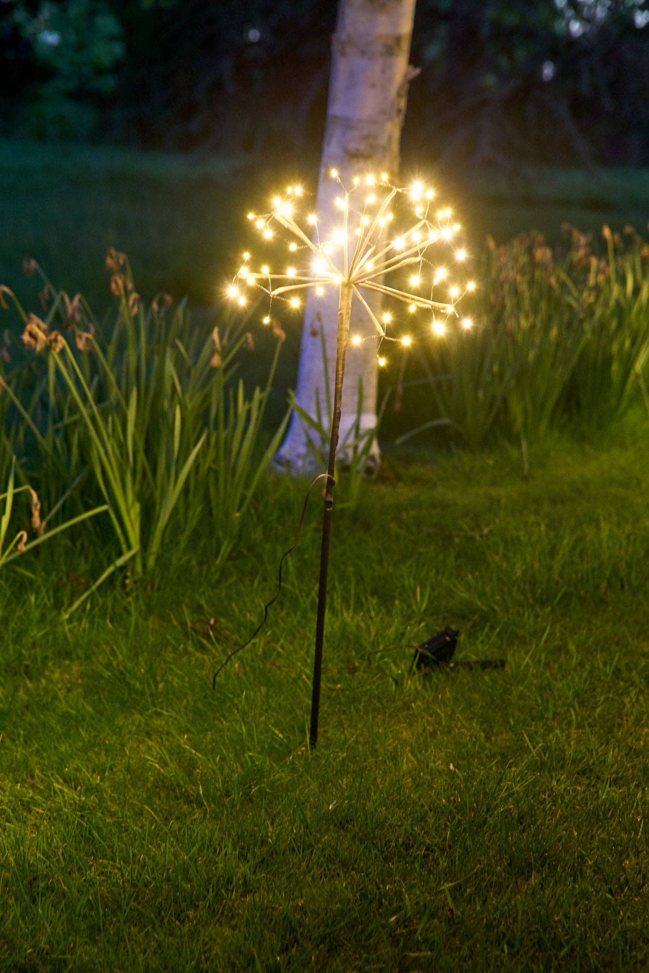 Lumina Of London Co - Solar Dandelion Light
