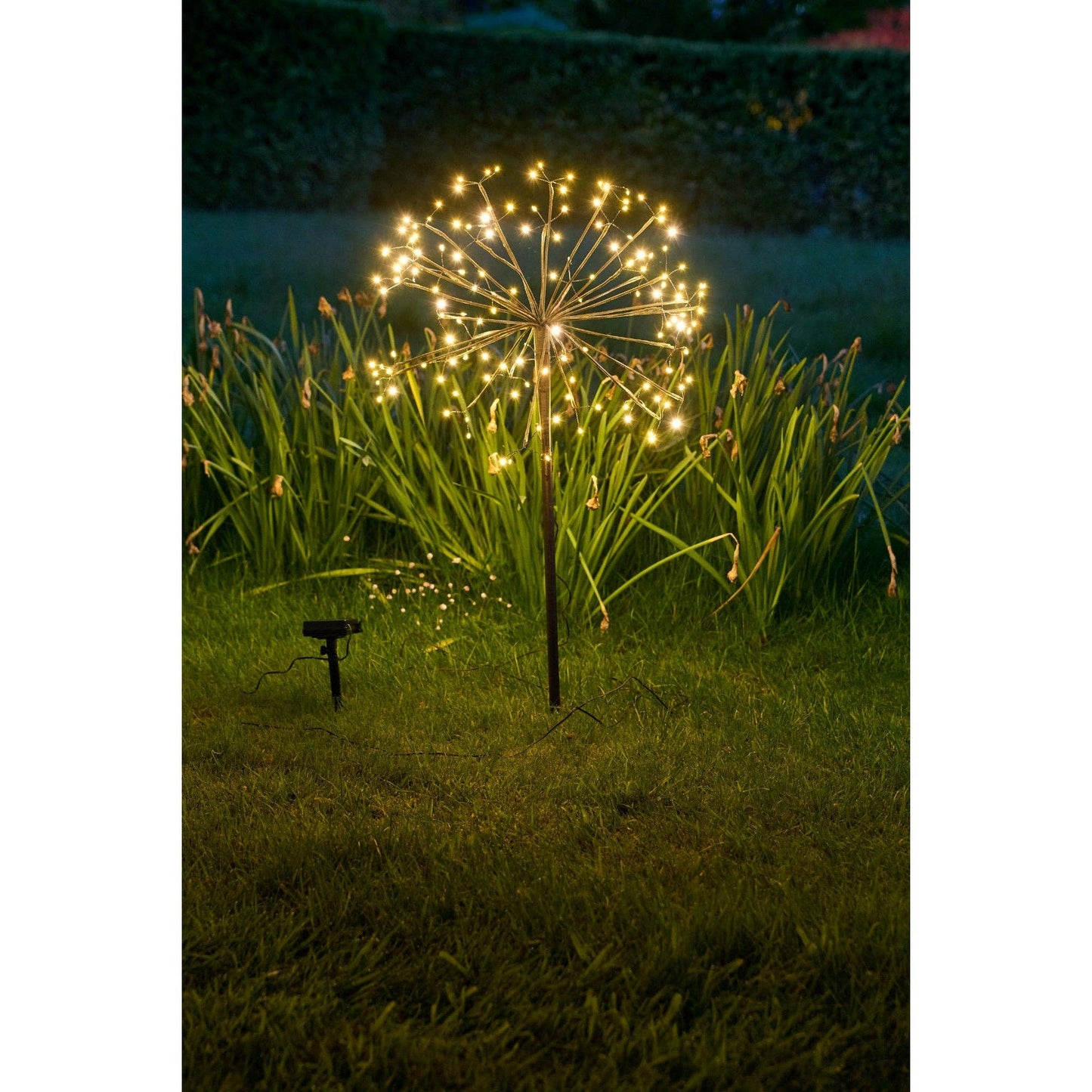 Lumina Of London Co - Solar Dandelion Light