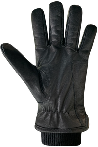 AUCLAIR - AIDEN MITT MENS