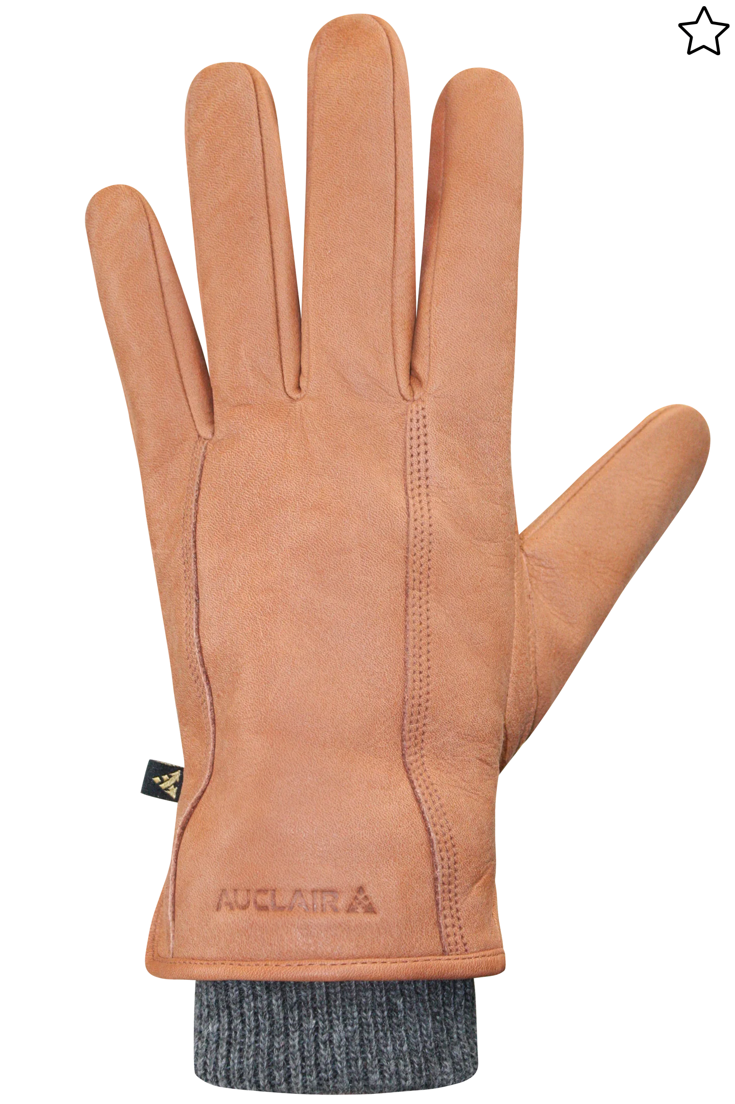 AUCLAIR - AIDEN MITT MENS