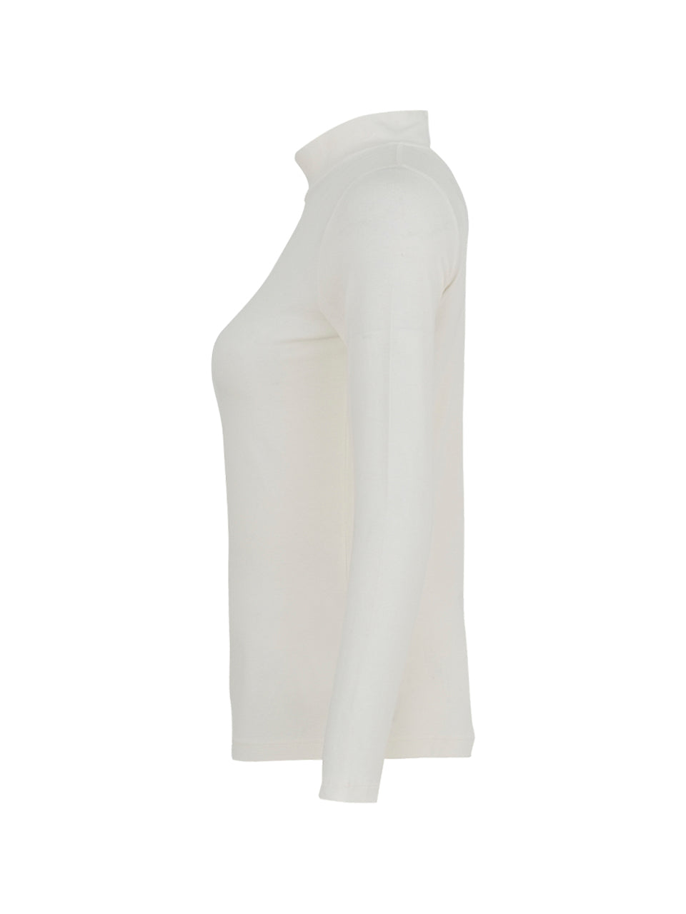 Fitted Mock Neck Top