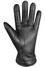 Load image into Gallery viewer, AUCLAIR - DEMI GLOVE
