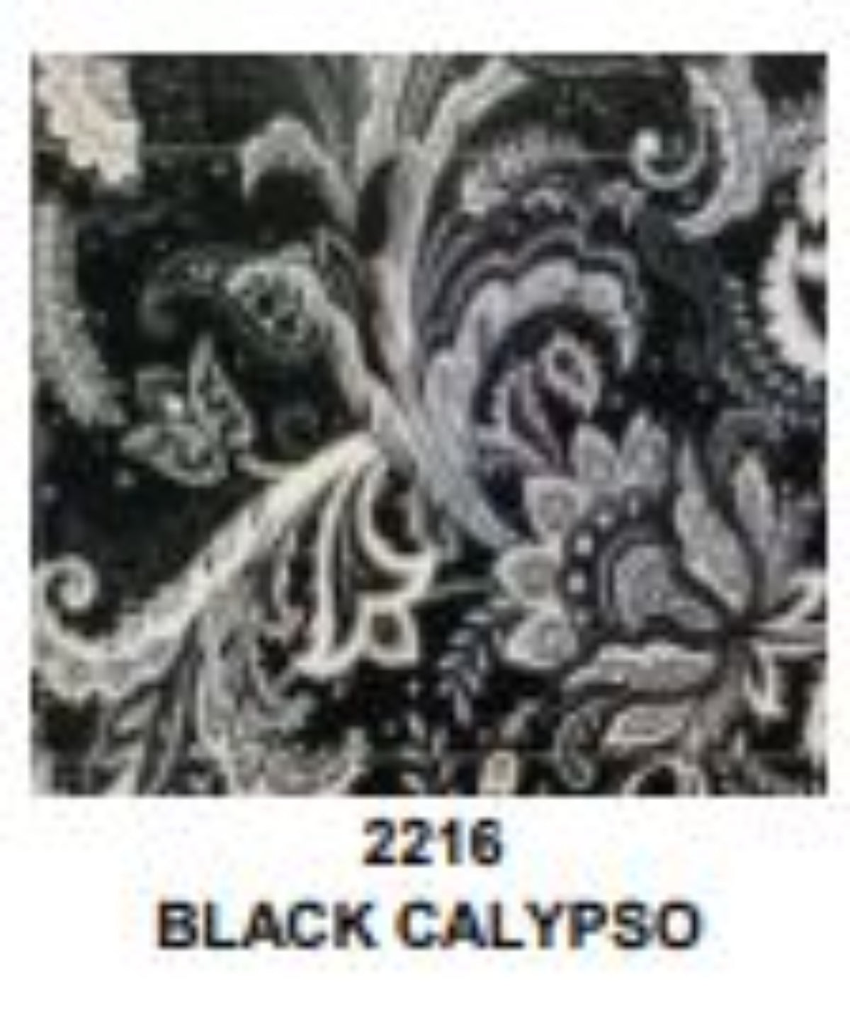 Black and white pattern labeled 'BLACK CALYPSO' with number 2216
