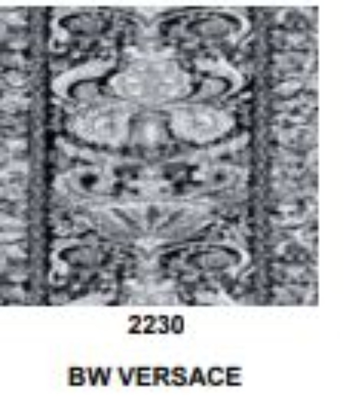 Textured pattern with 'BW Versace' branding at the bottom