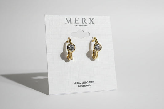 Small Crystal Hoop Earring-one stone