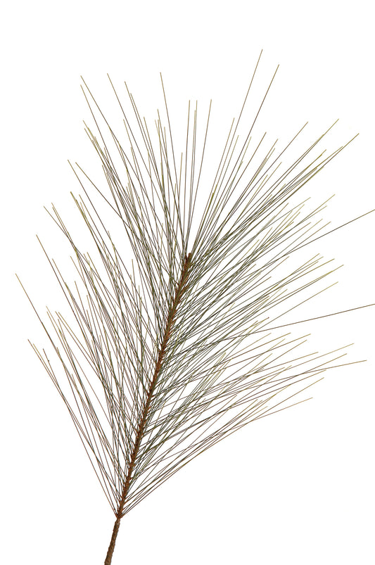 ADV - LONG LEAF PINE STRAY