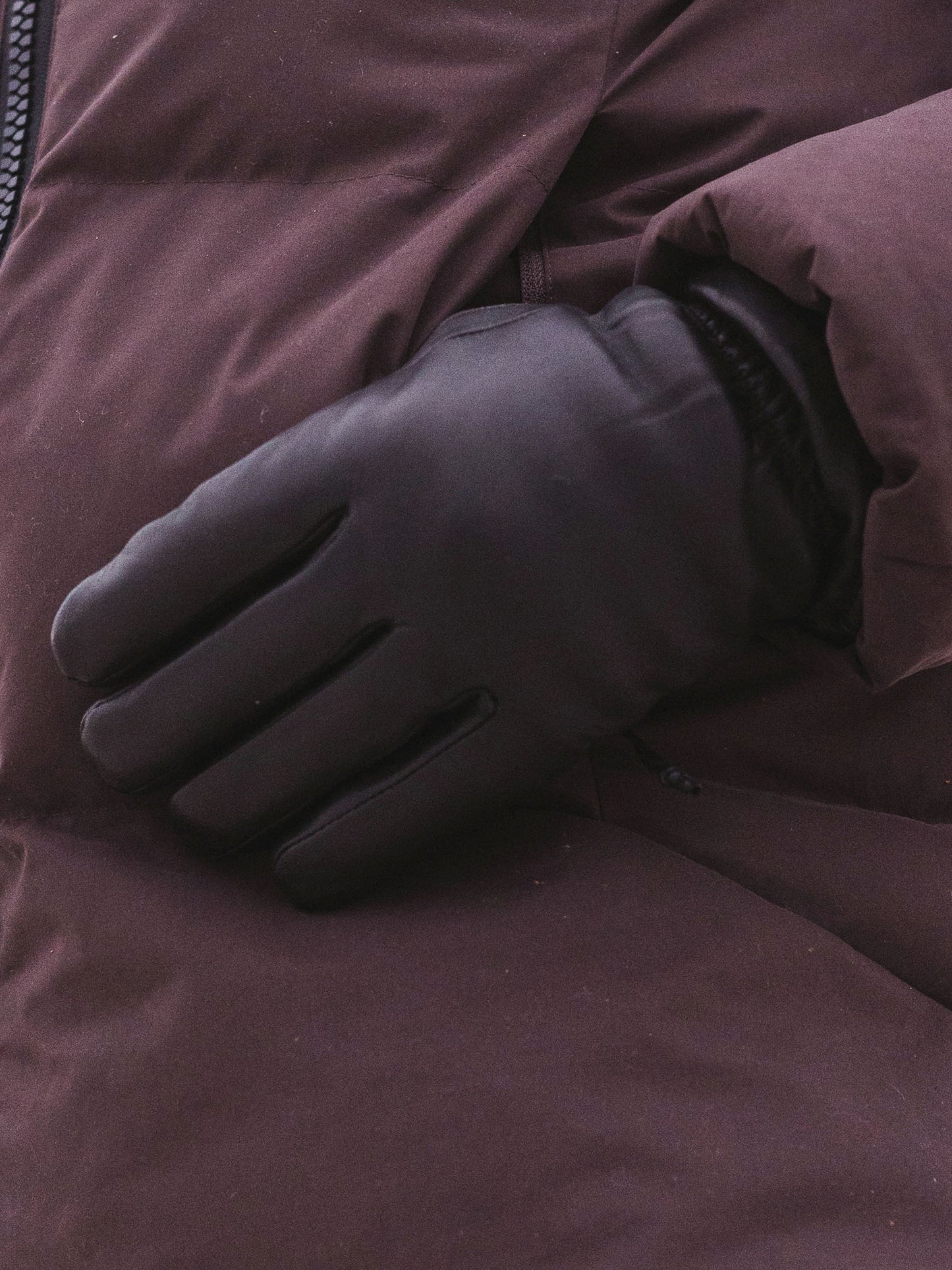 Demi - Women's  Glove