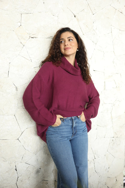 Eco Dog Walker Organic Sweater