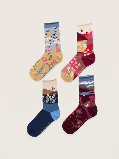 Giftbox of 4 Women's Arty Socks