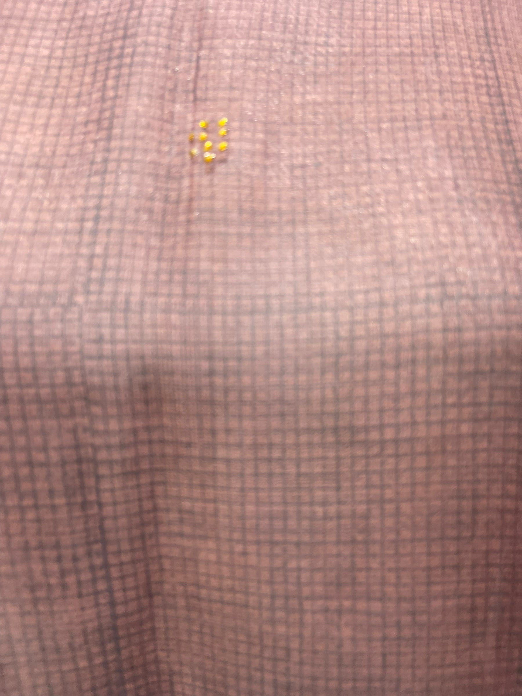 sariKNOTsari  PRG4178 Sheer Avatar Pure Silk Boxy Top