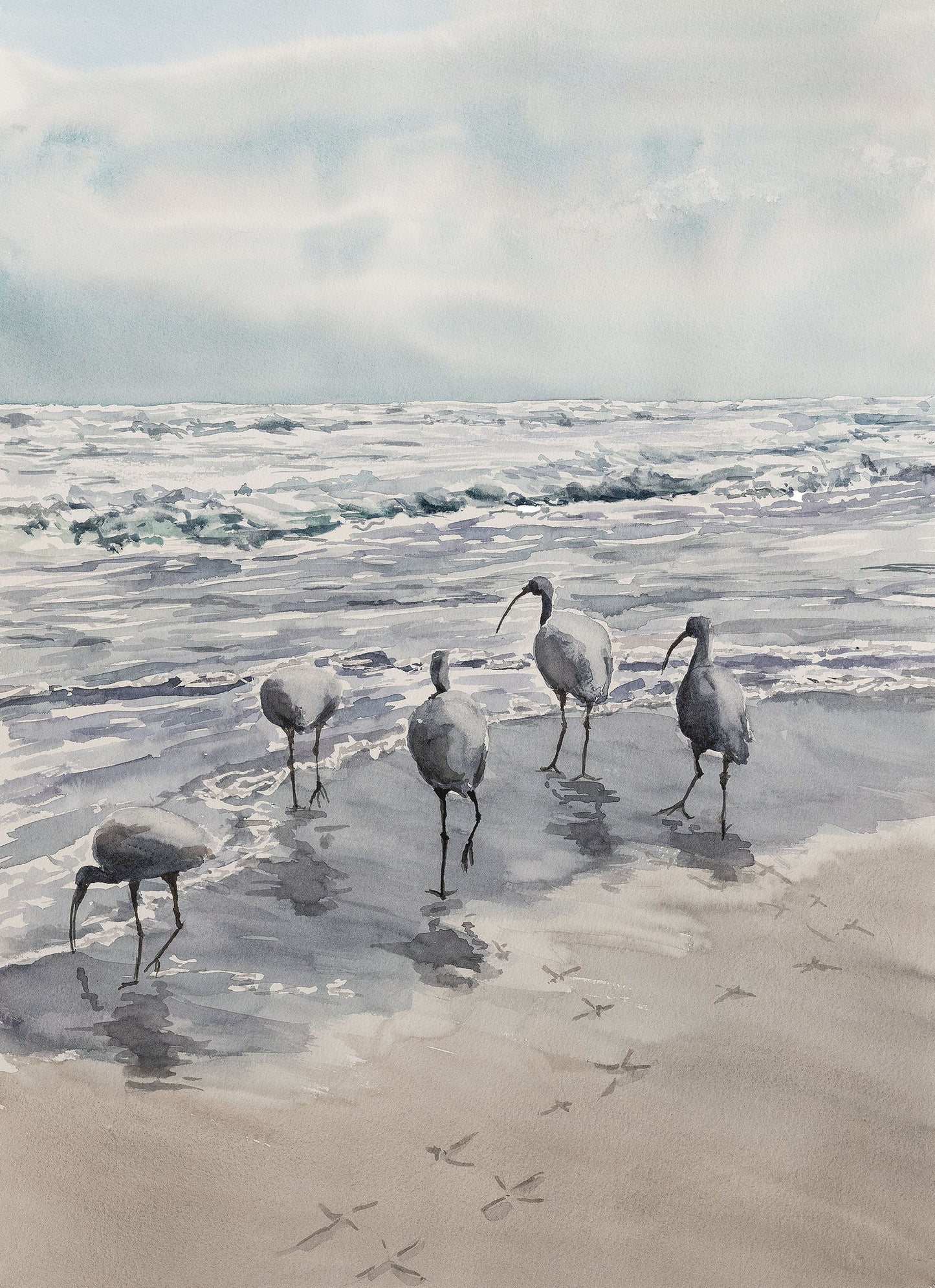 MAISON L -  FRENCH COTTON PRINTED TEA TOWELS