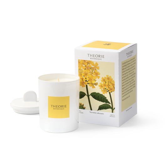 Theorie Botanique Fragrant Verbena soy candle with white faïence lid, 50 hours