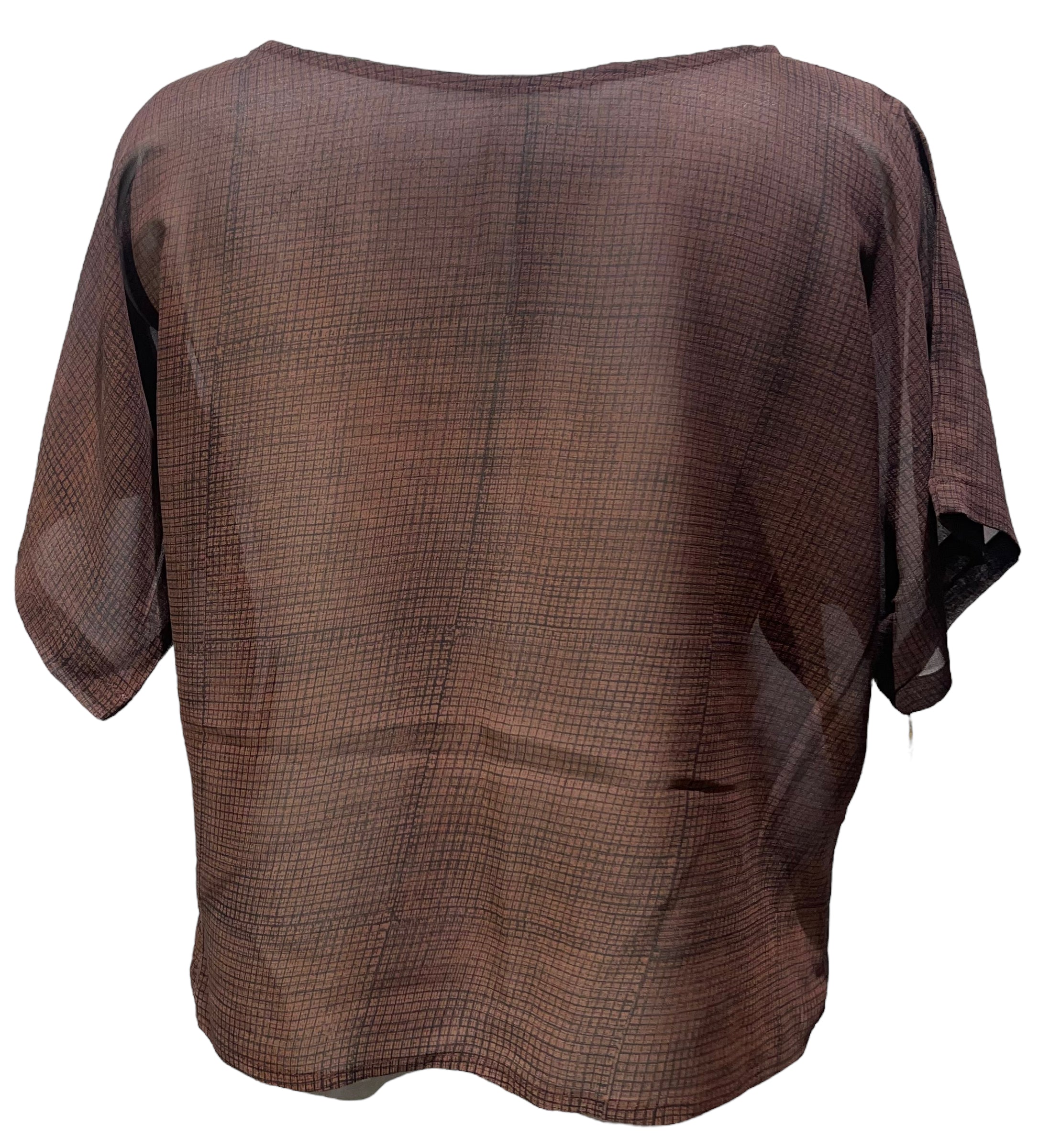 sariKNOTsari  PRG4178 Sheer Avatar Pure Silk Boxy Top