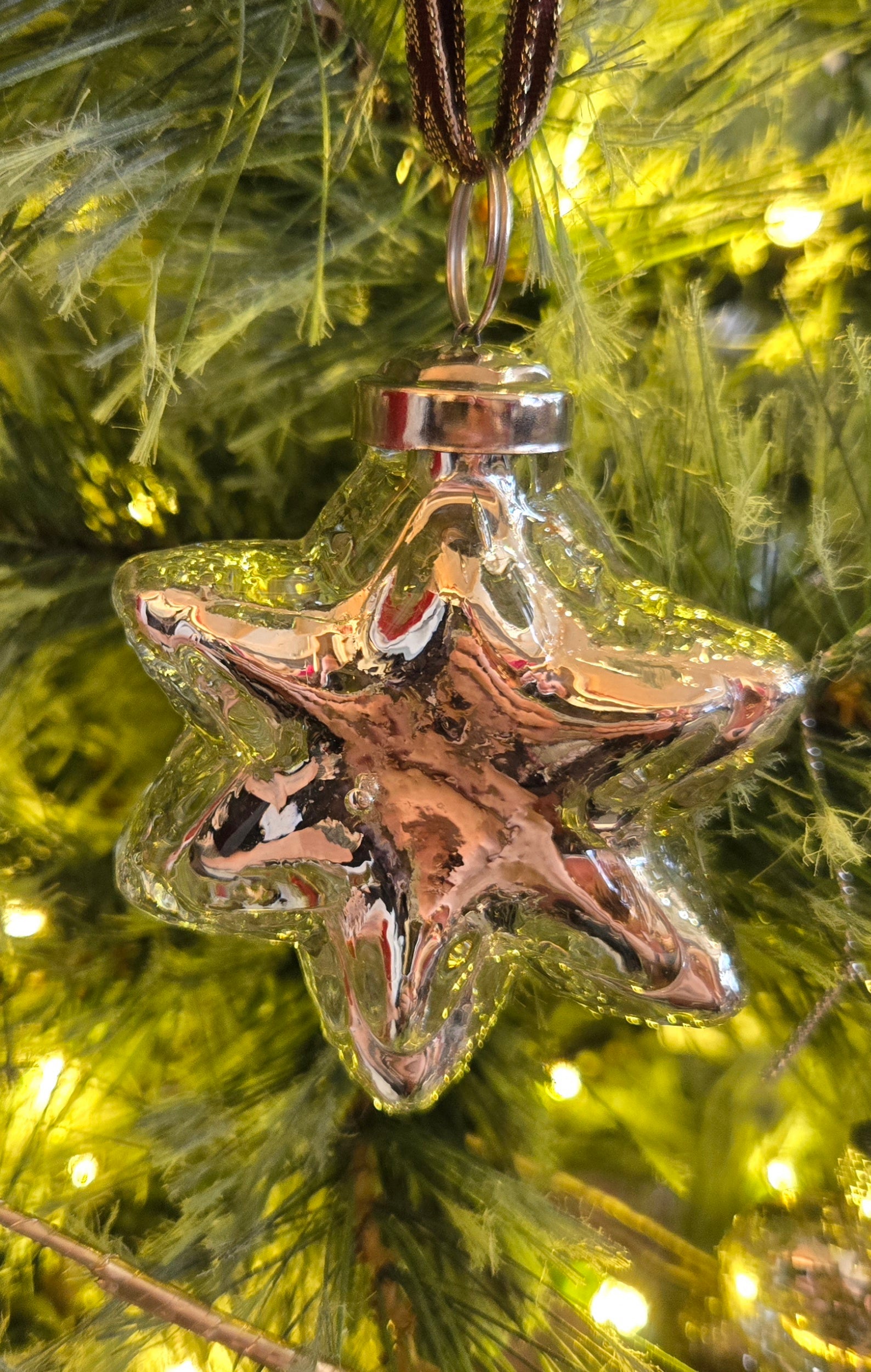 RL - SILVER GLASS LARGE STAR DECORATIONS